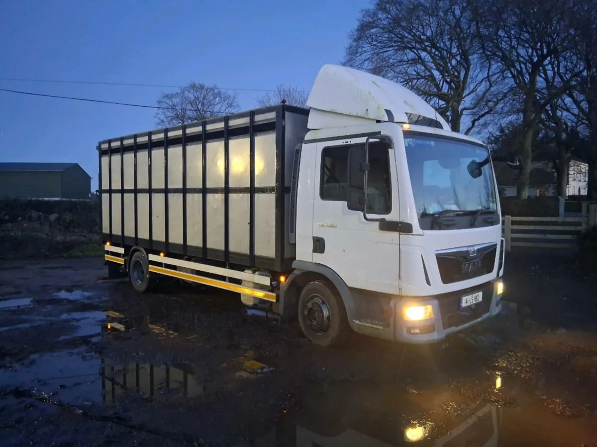 LIVESTOCK LORRY - Image 1