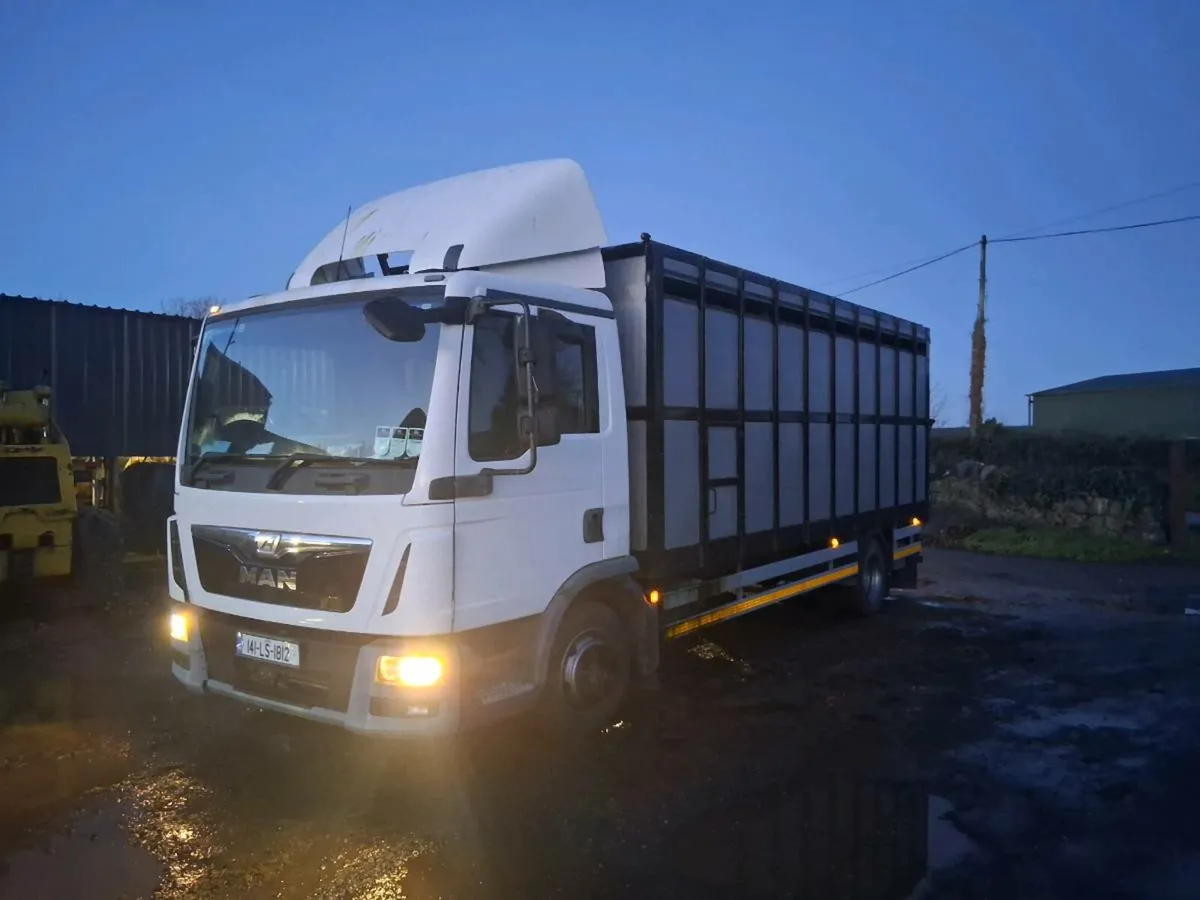 LIVESTOCK LORRY - Image 3