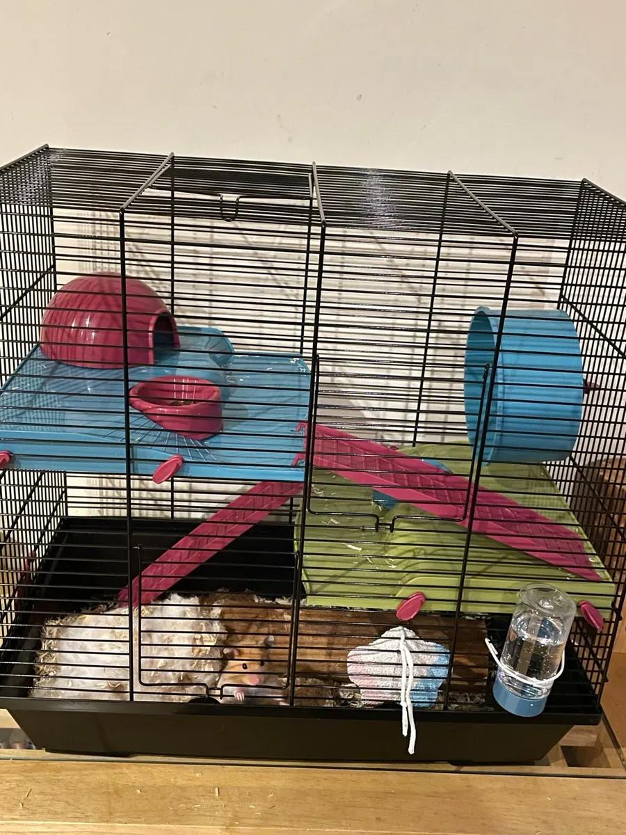 Hamster cage