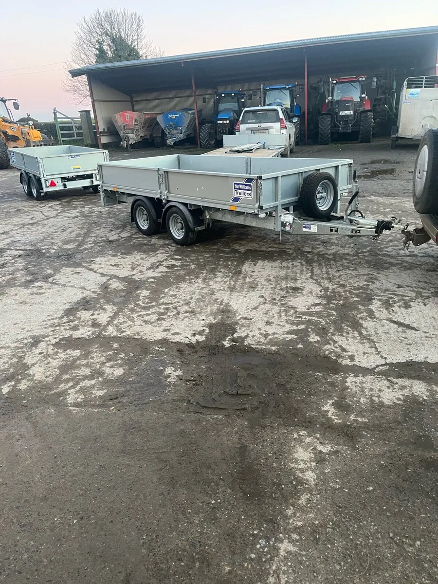 Ifor Williams lm 125 - Image 1