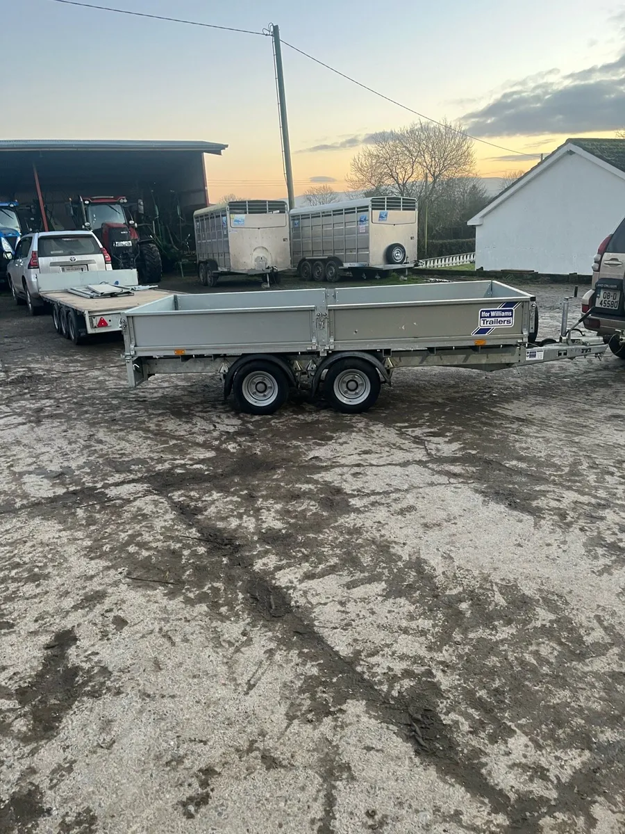 Ifor Williams lm 125 - Image 2