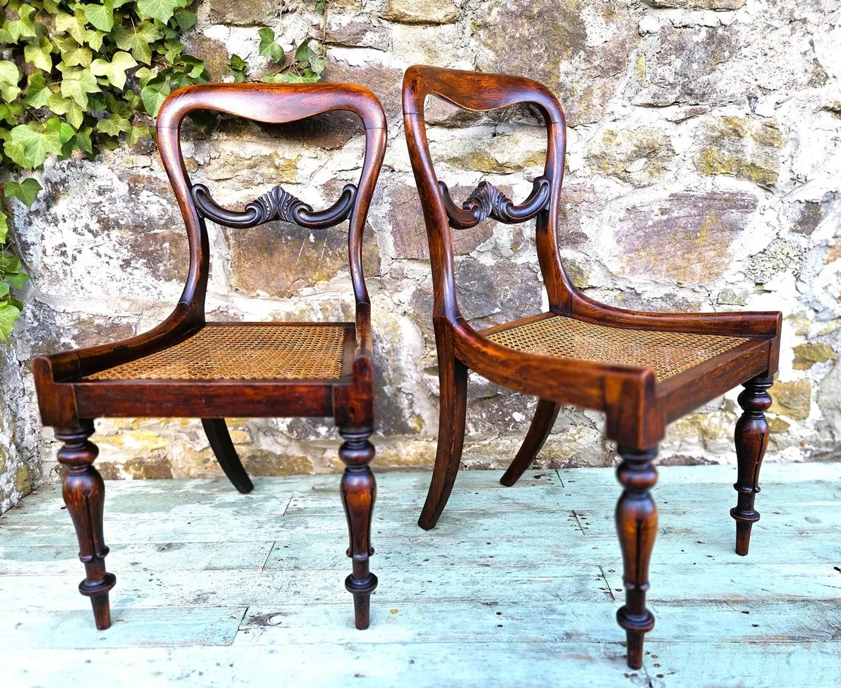 Pair of Georgian Rosewood Chairs- Circa 1830 - Image 1