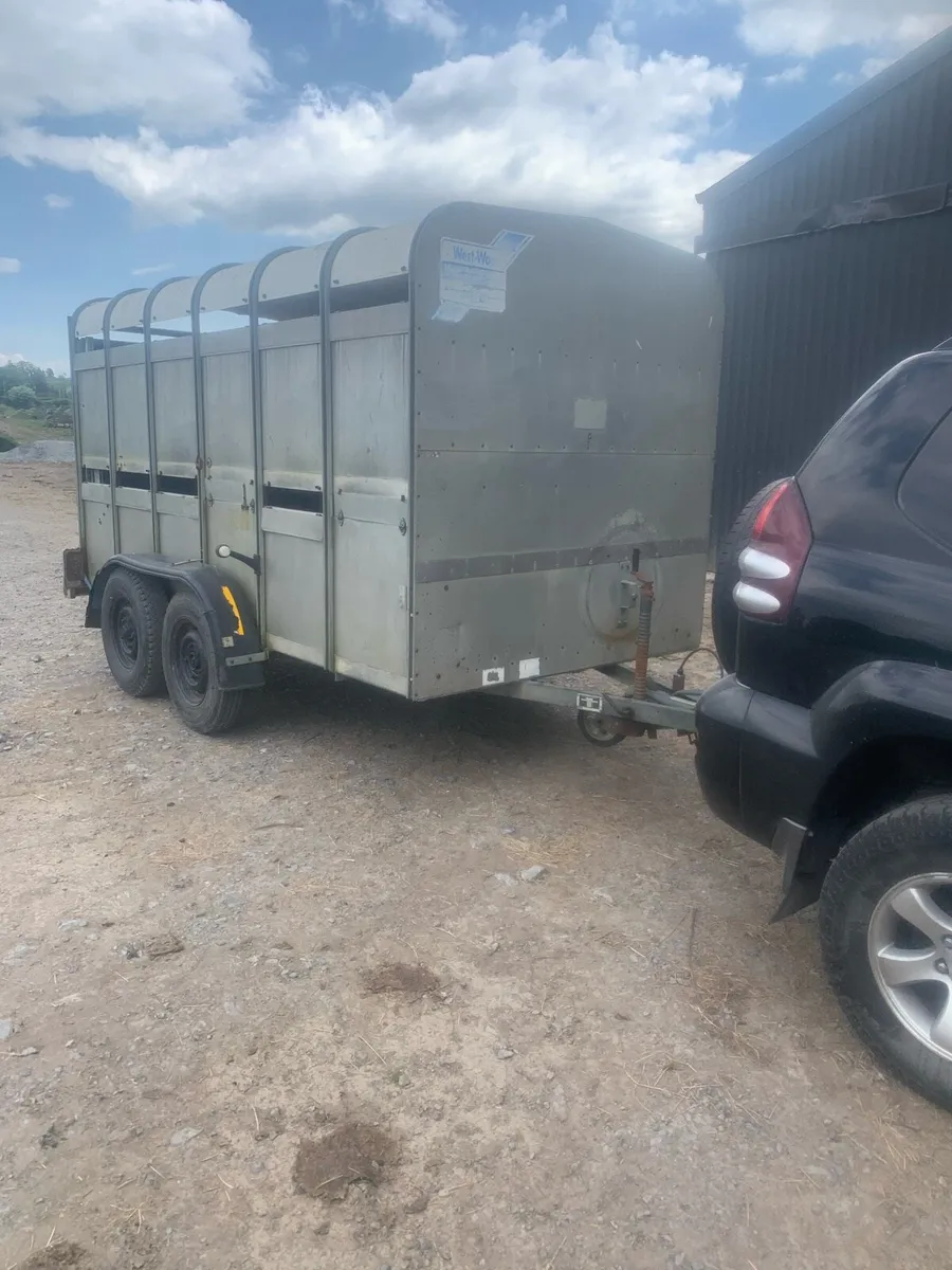 12x6 ifor Williams cattle box - Image 1
