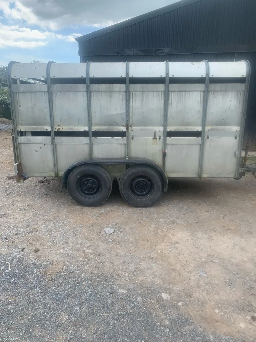 12x6 ifor Williams cattle box - Image 3