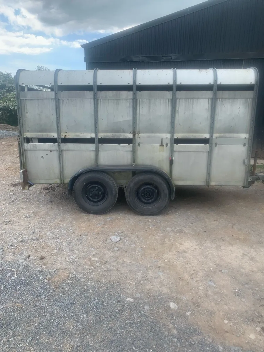 12x6 ifor Williams cattle box - Image 4