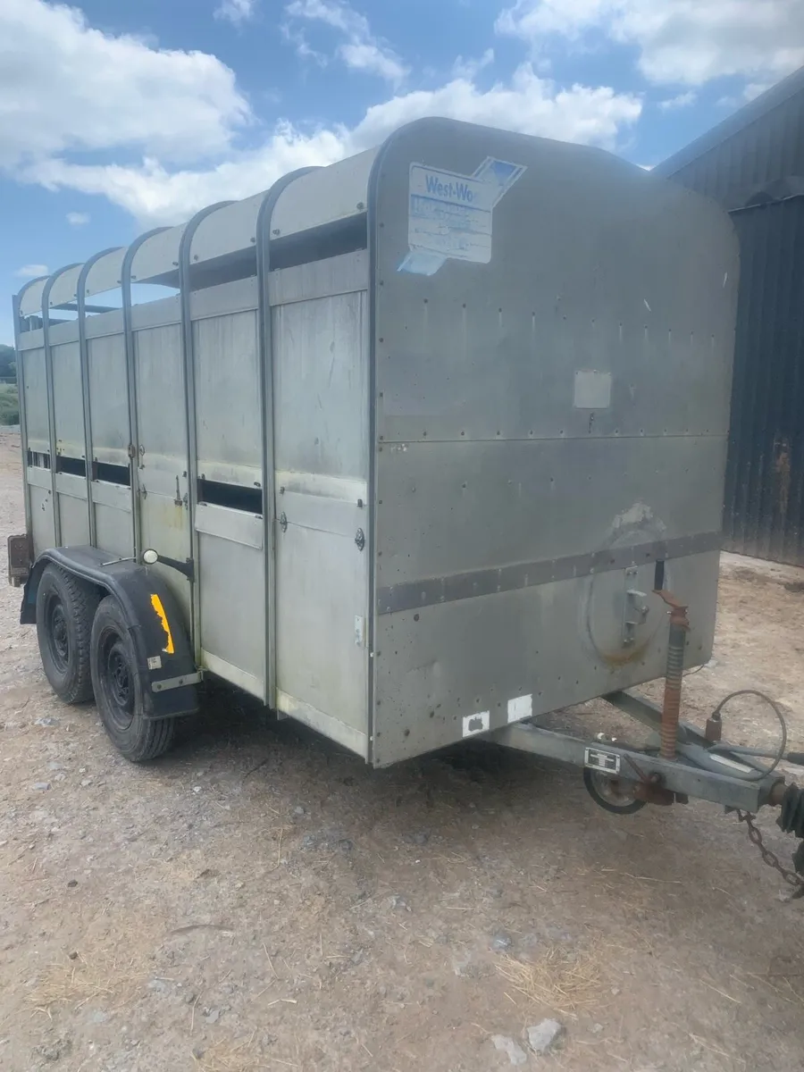 12x6 ifor Williams cattle box - Image 2
