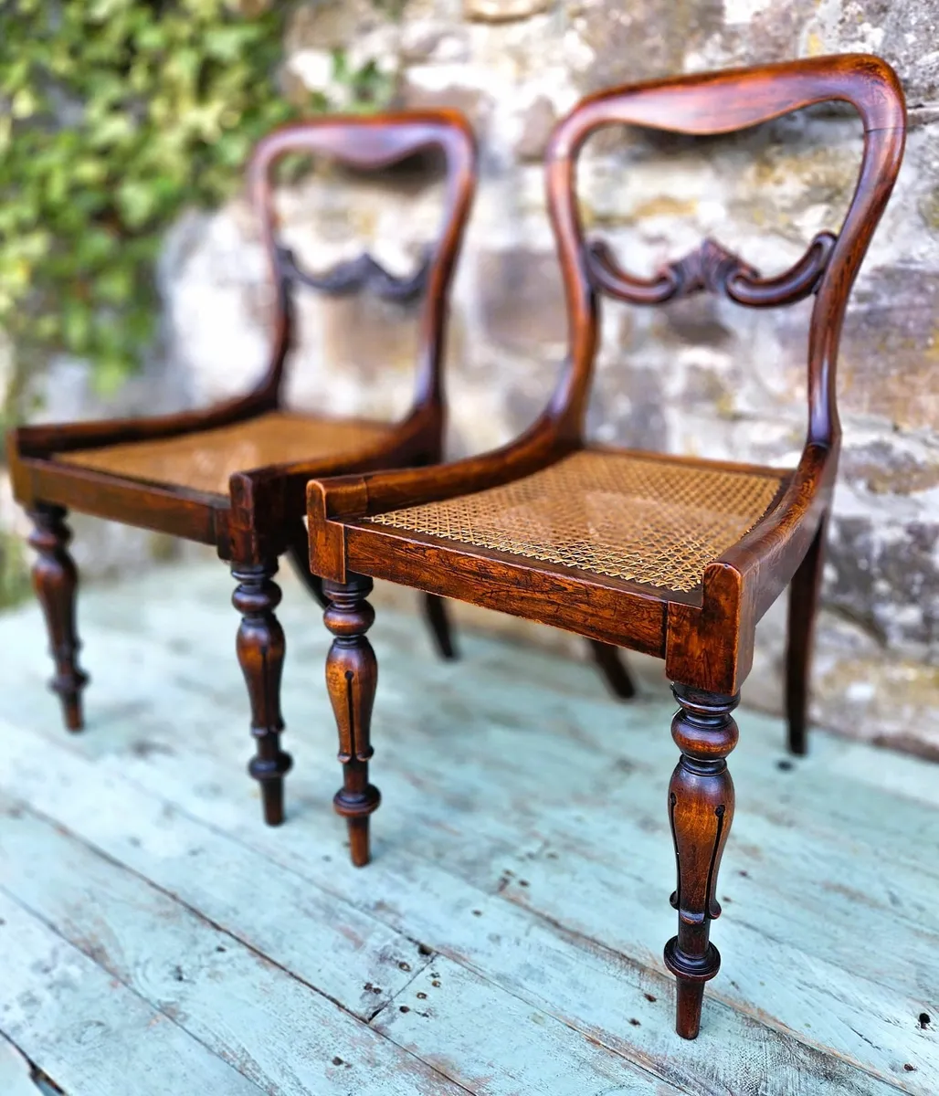 Pair of Georgian Rosewood Chairs- Circa 1830 - Image 3