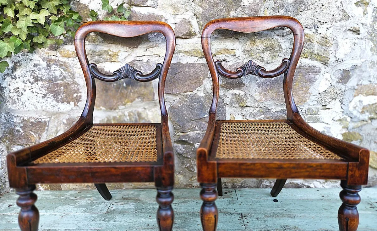 Pair of Georgian Rosewood Chairs- Circa 1830 - Image 4