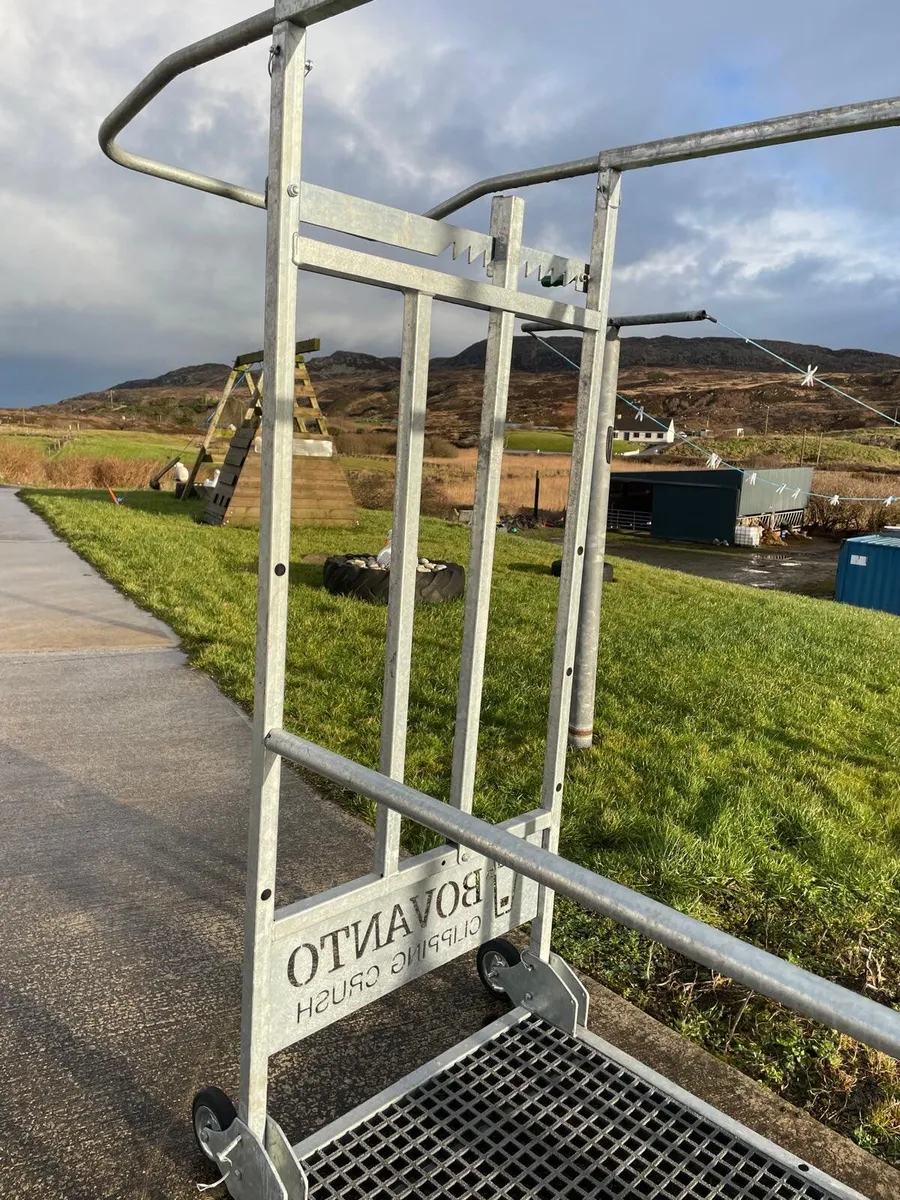 Cattle Crush for preparing animals - Image 2