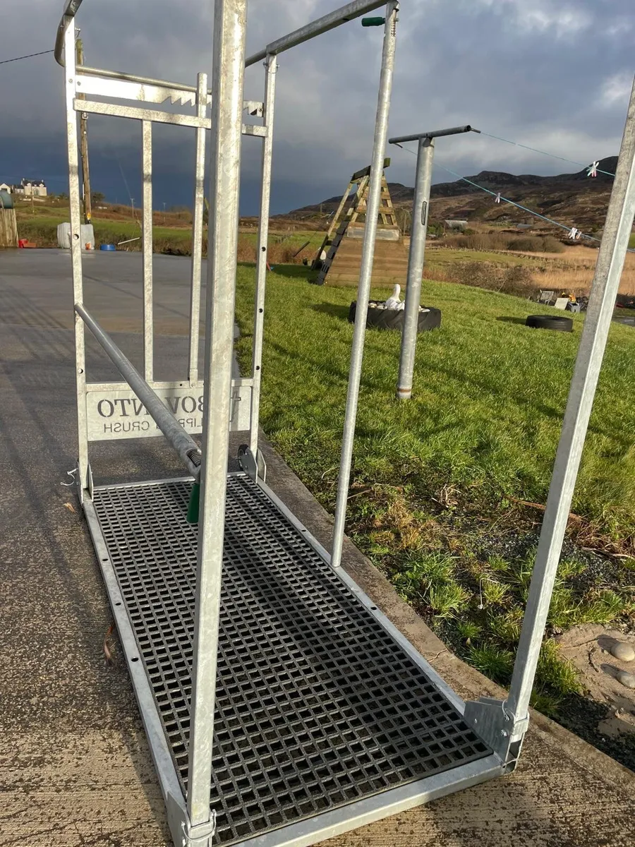 Cattle Crush for preparing animals - Image 1