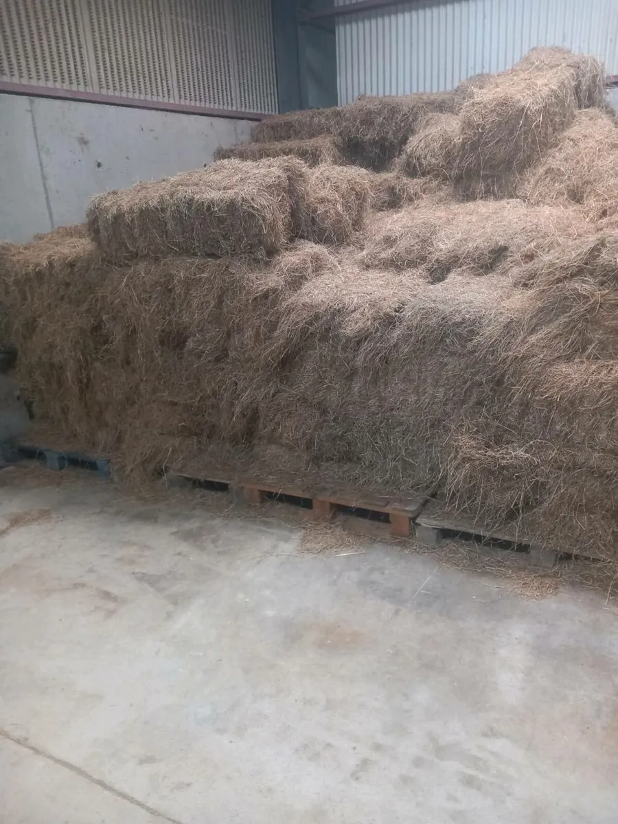 Hay - Image 1
