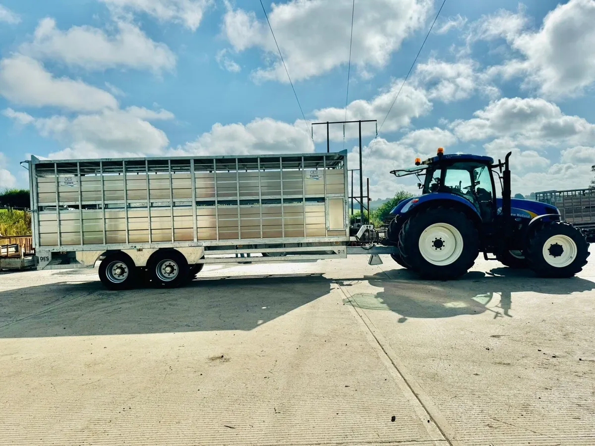 New OES Livestock Trailers - Image 3