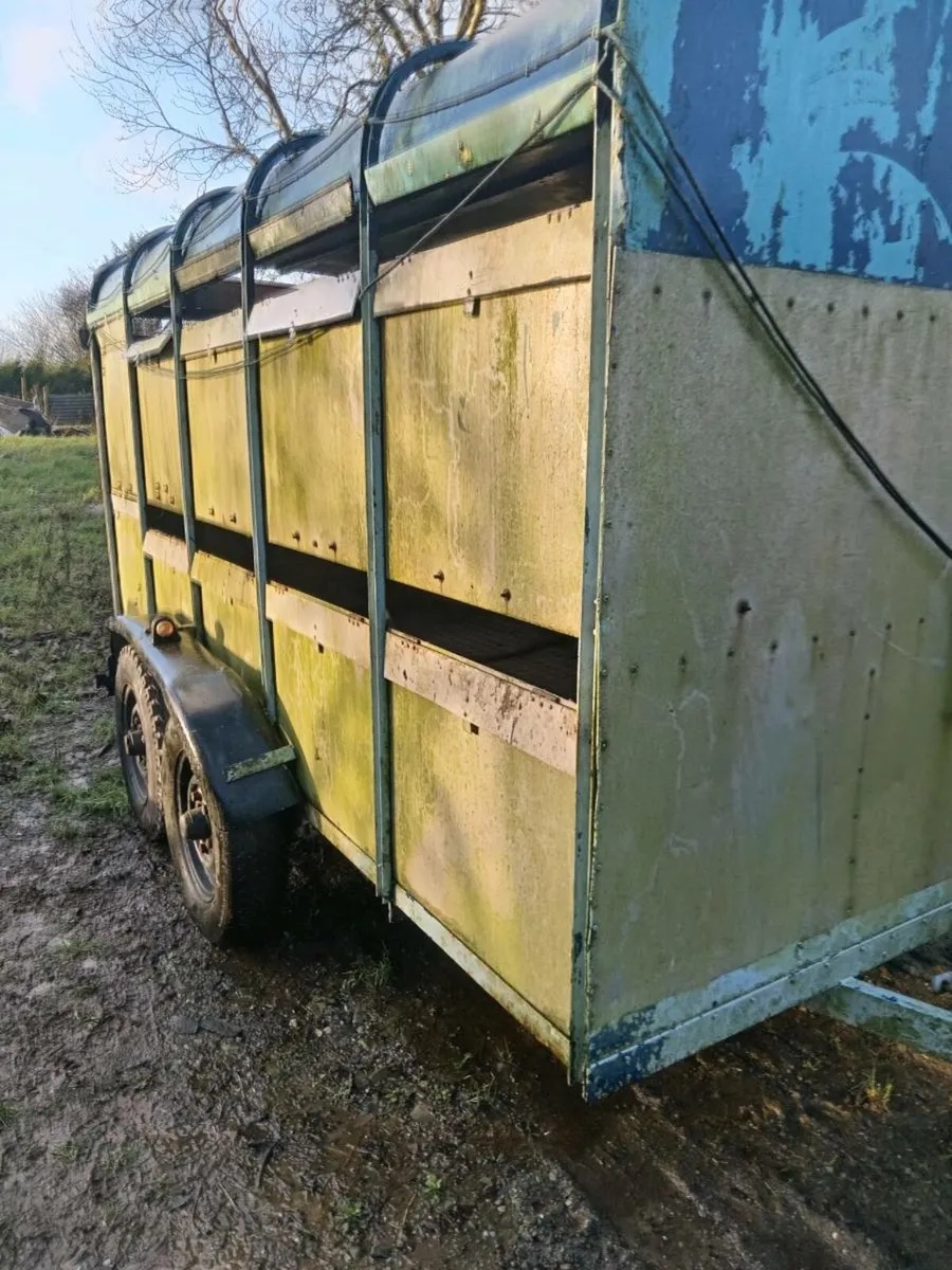 Cattle trailer - Image 2