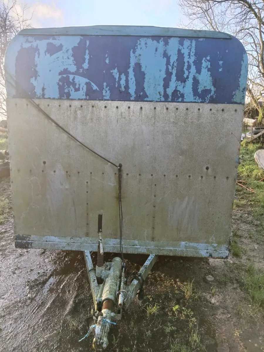 Cattle trailer - Image 3