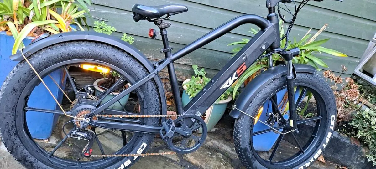 Electric bike - Image 1