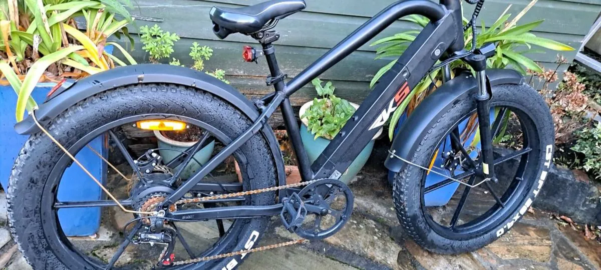 Electric bike - Image 2