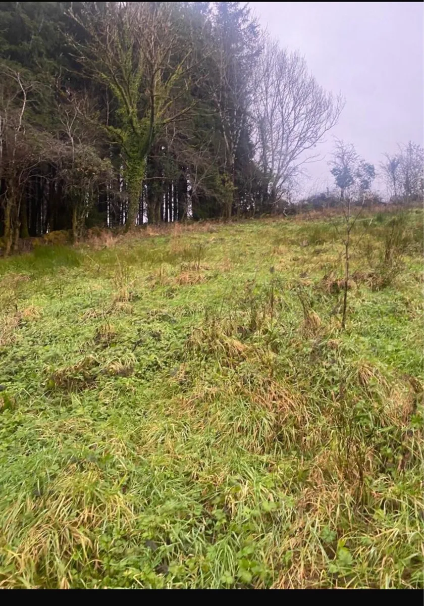 Derelict house for sale - Image 3