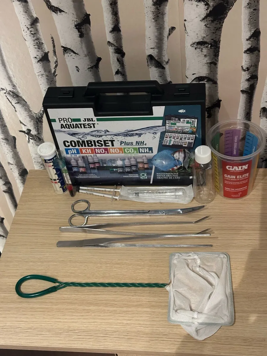 Full Fish Tank Setup - Image 4