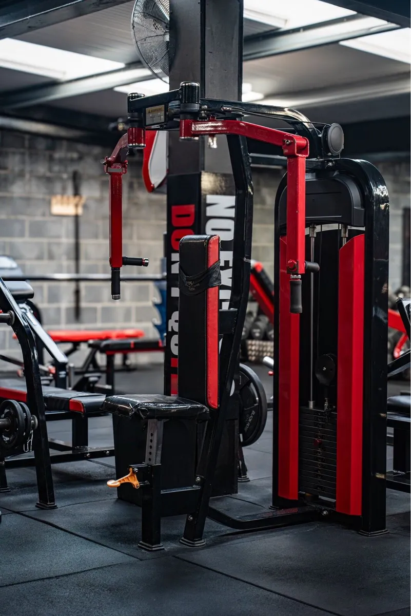 Pec Dec Fly / Rear Delt