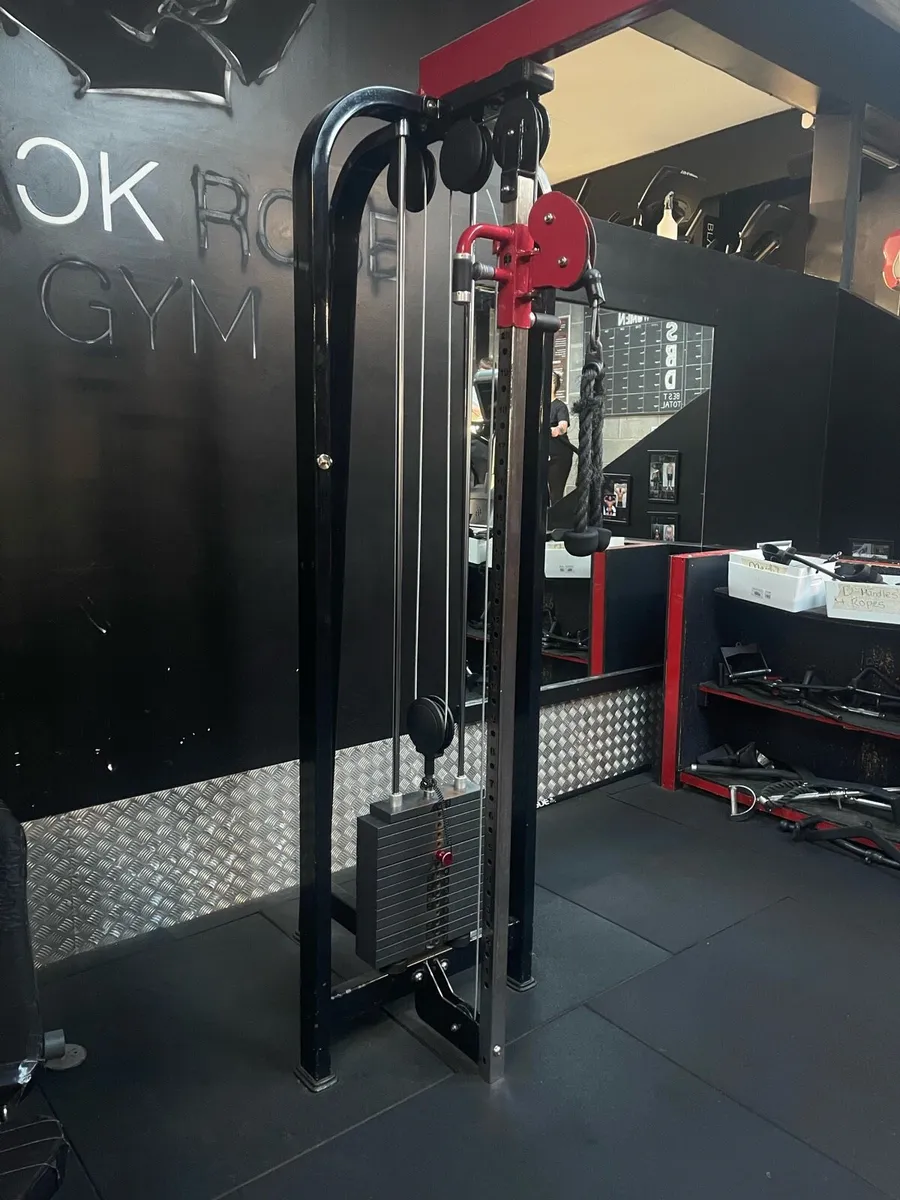 Multi jungle 5 Stack - Image 4