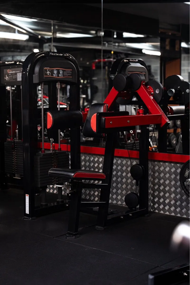 Seated Lateral Raise