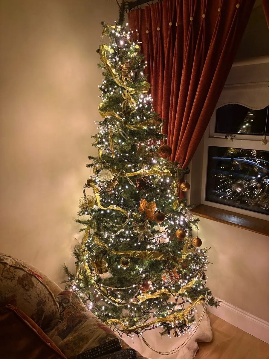 Free Christmas Tree. - Image 1