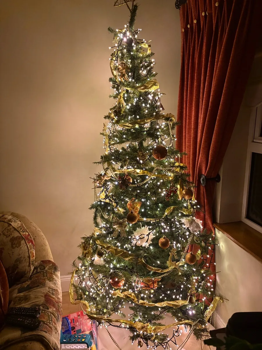 Free Christmas Tree. - Image 2