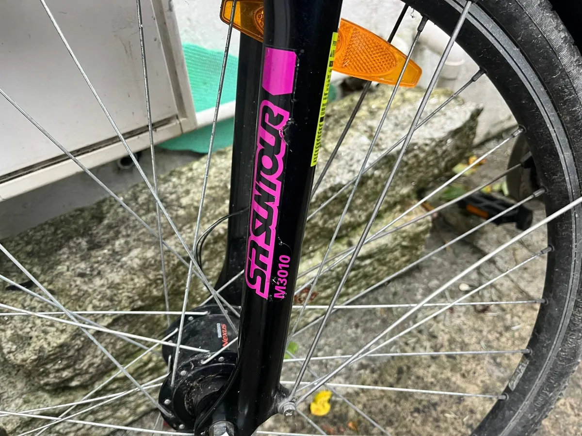 Kelly's Tour Ladies Bike - Image 3