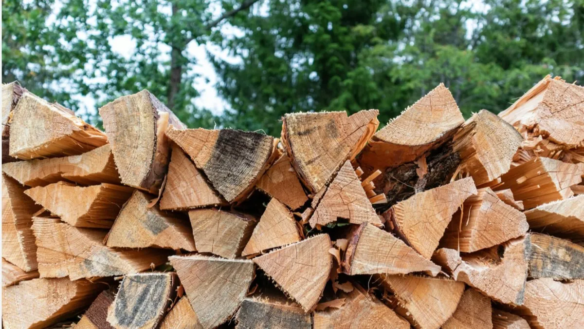 Firewood timber fuel - Image 2