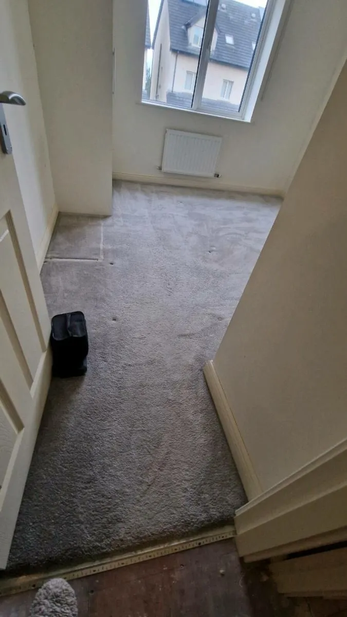 Carpet - Image 3