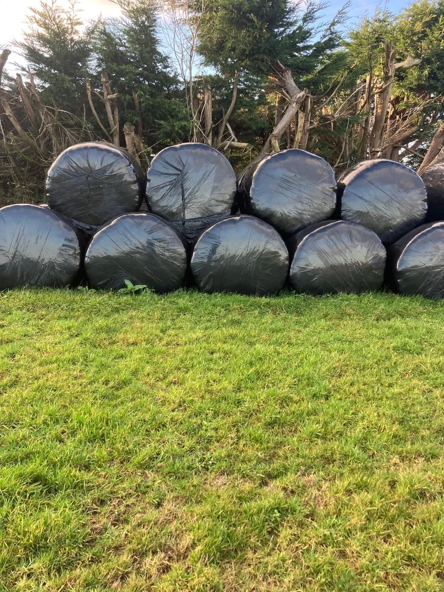 Silage bales - Image 2
