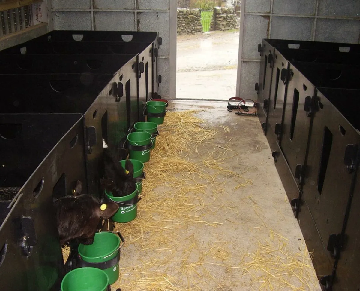 Calf pens plastic - Image 1