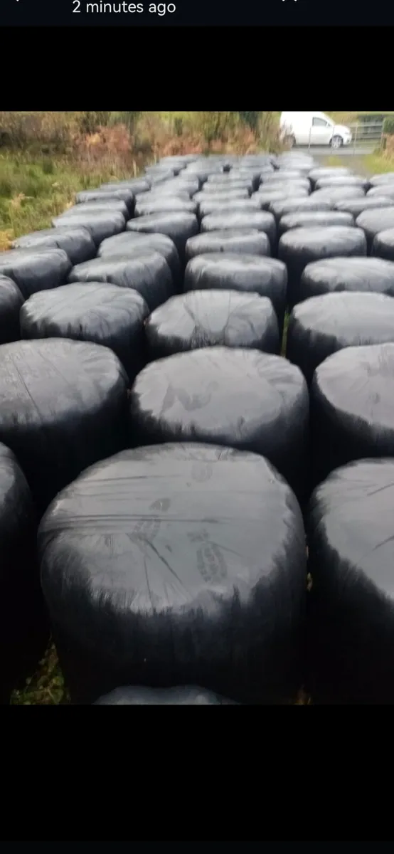 50 chopped round bales