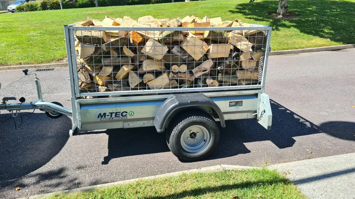 Hardwood & Softwood 🪵 - Image 1