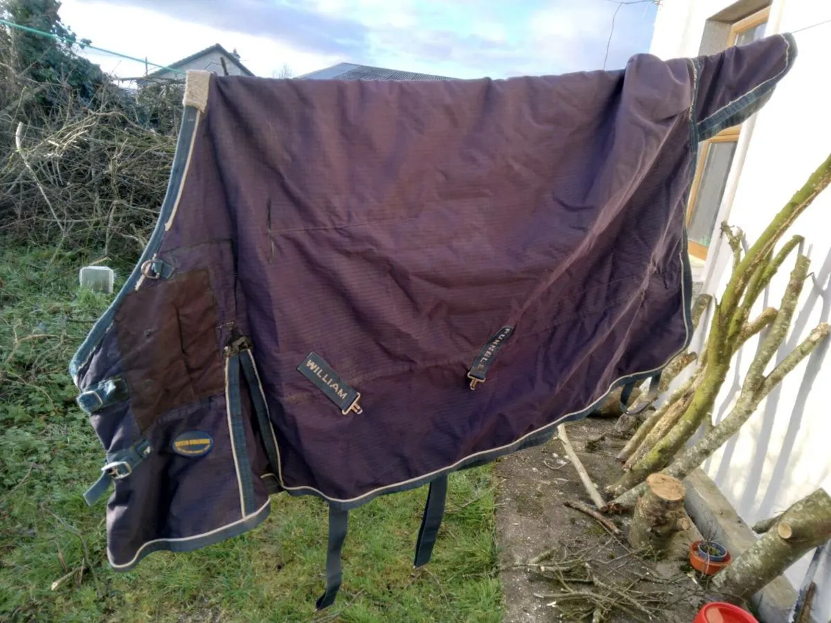 6'0 Turnout Rug Medium Weight - Image 1