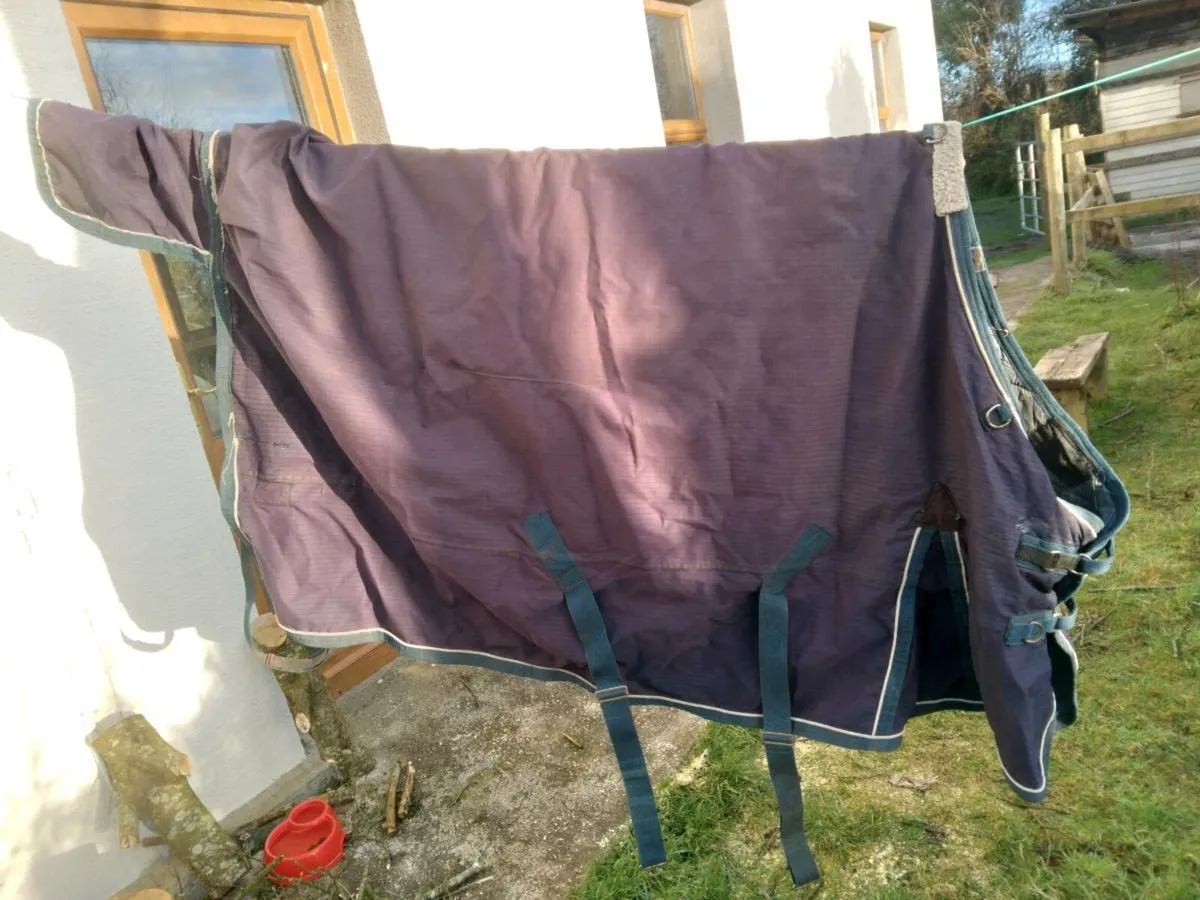 6'0 Turnout Rug Medium Weight - Image 2