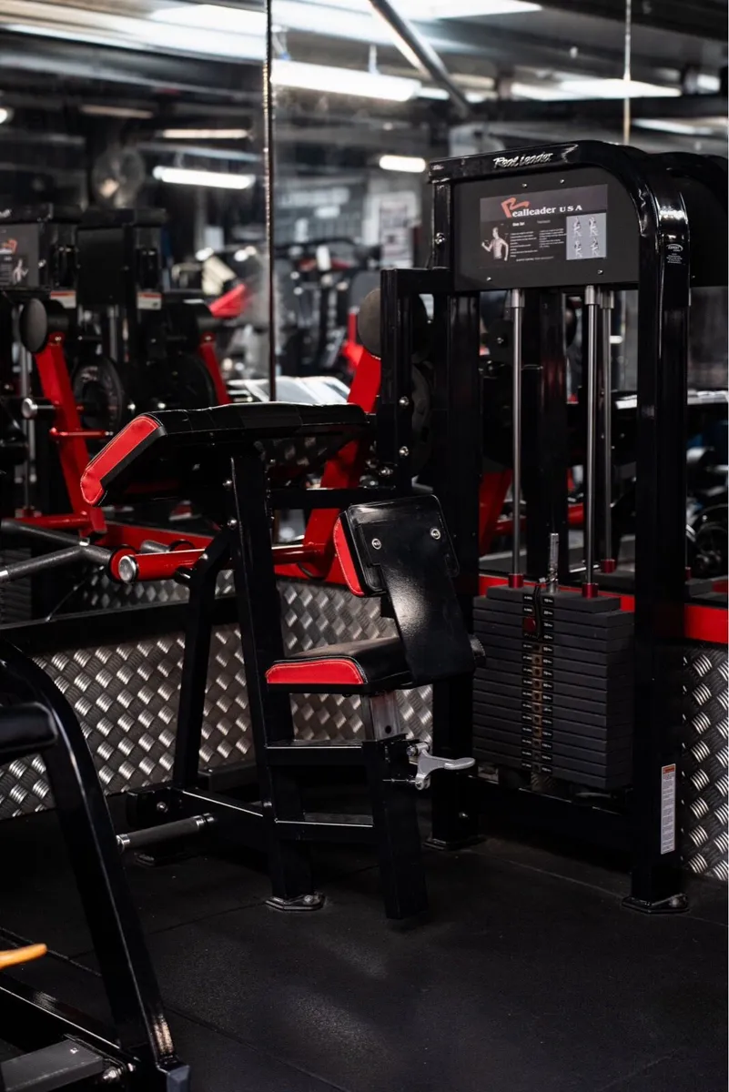 Bicep curl / Tricep pushdown - Image 1