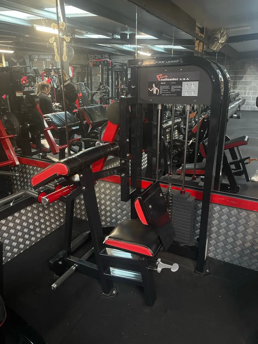 Bicep curl / Tricep pushdown - Image 2