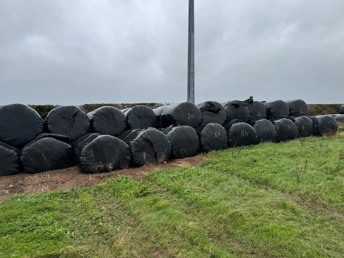 Silage Bales - Image 1