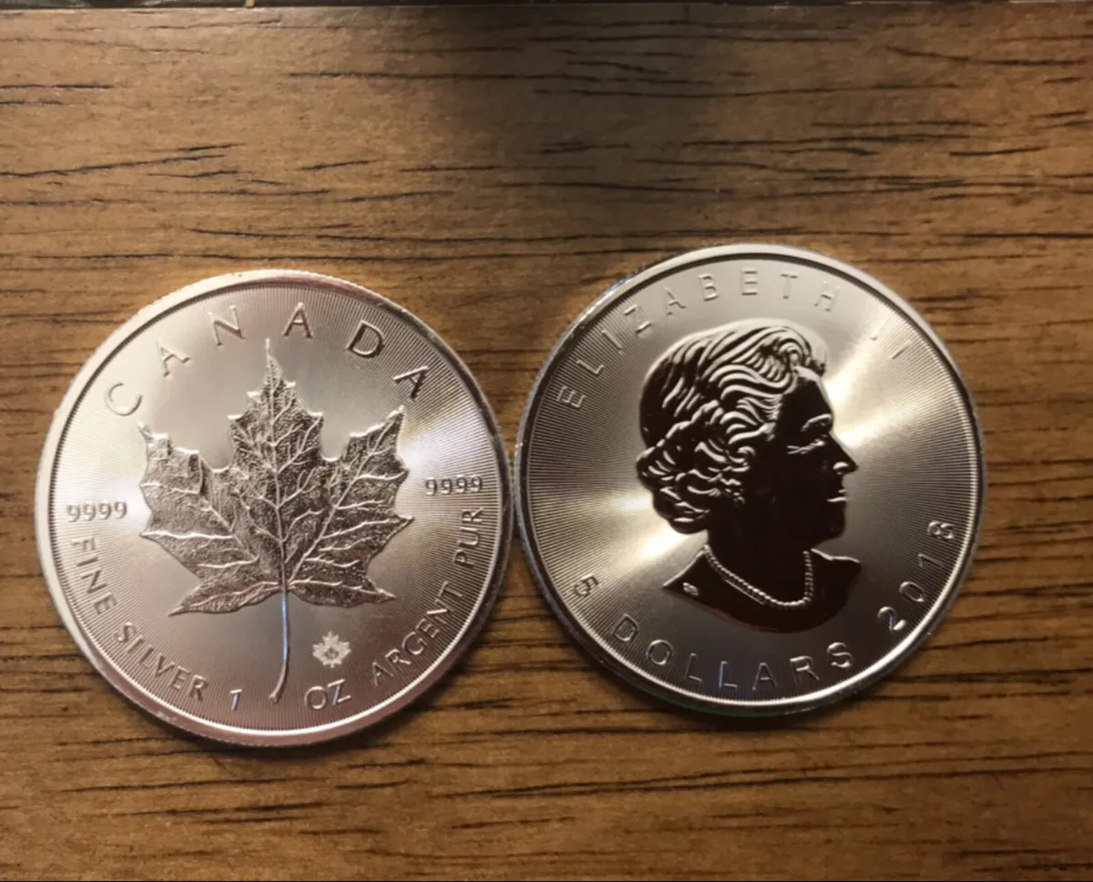 1 oz Silver Canadian Maple Leaf Coins (2019) - Image 1