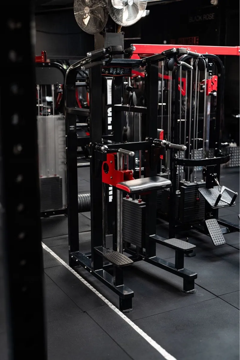 Assisted Chin up / Dip