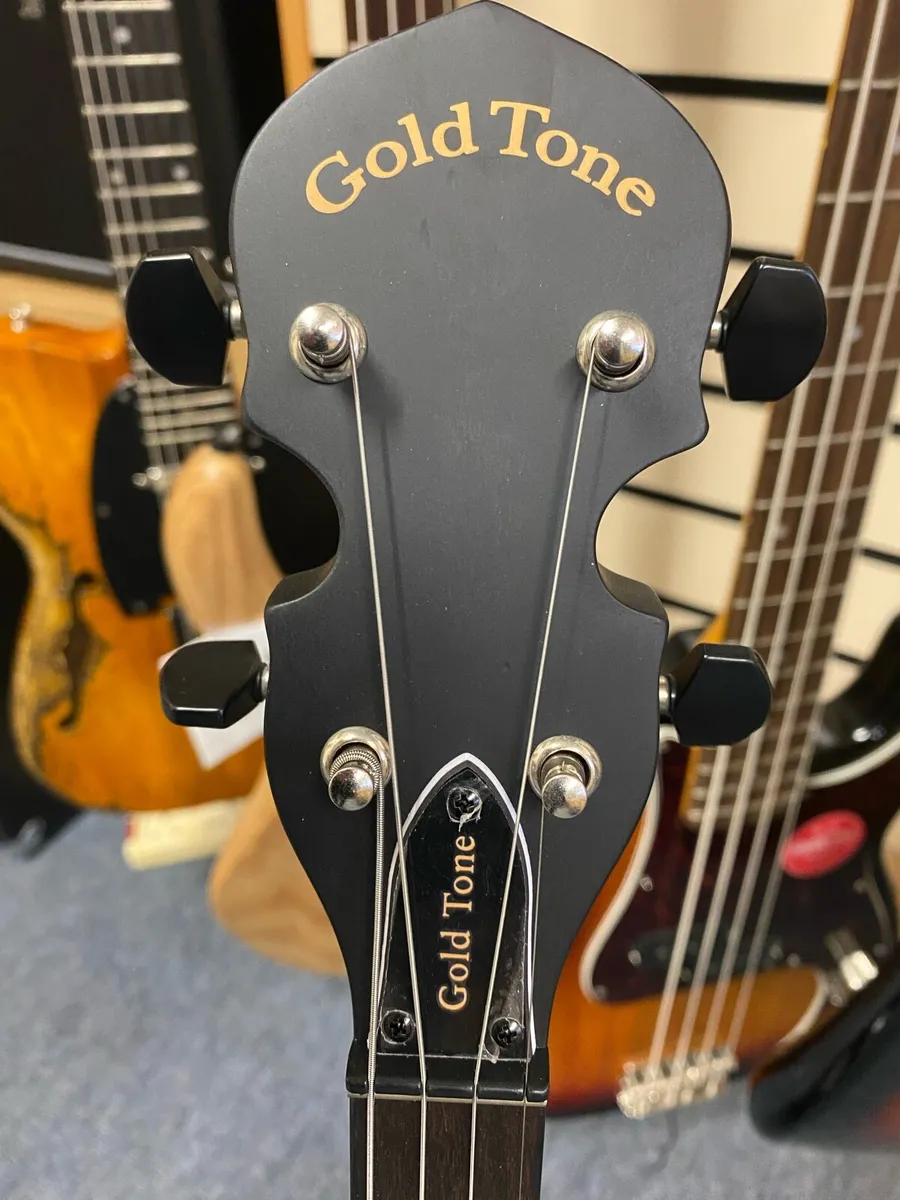 Goldtone Irish Tenor Banjo 17 fret - Image 4