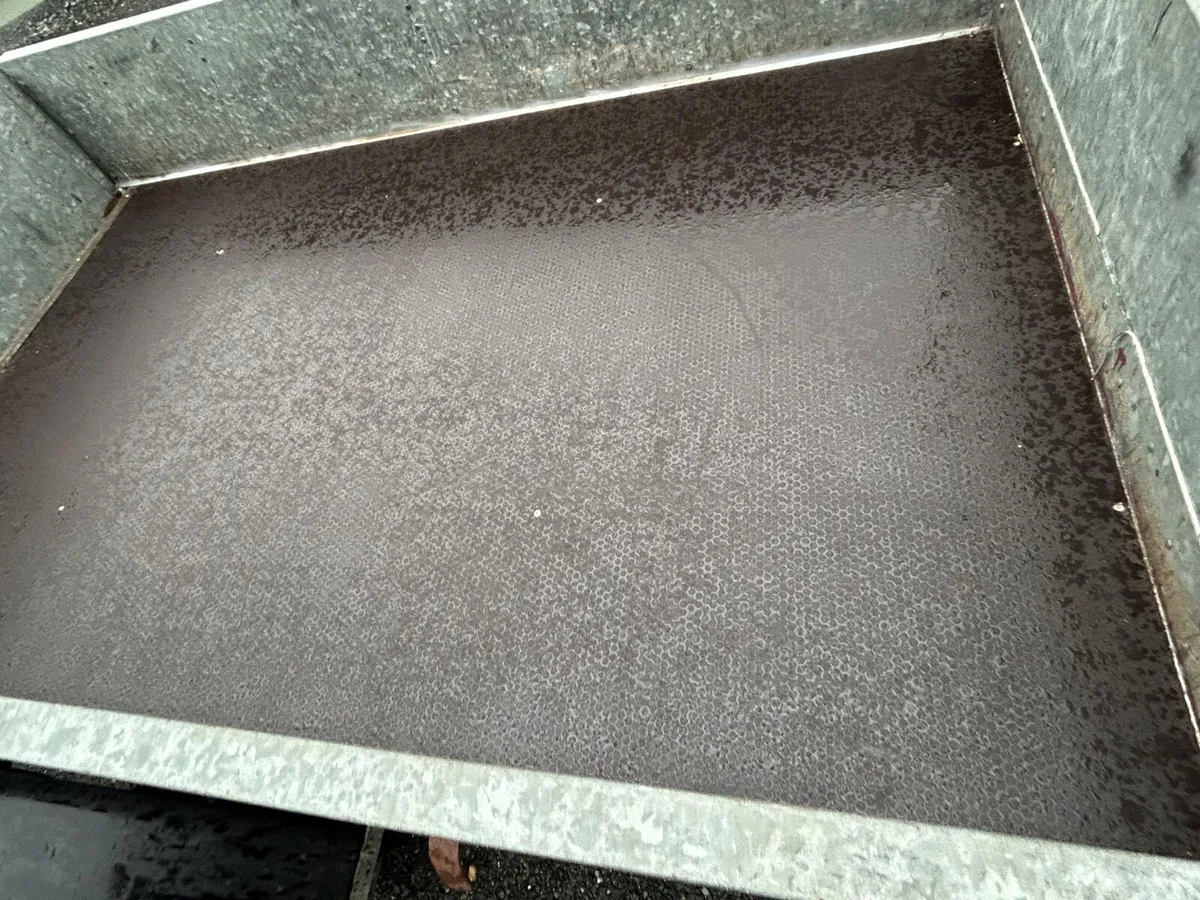 Ifor Williams 8x5 Braked Single Axle Trailer - Image 2