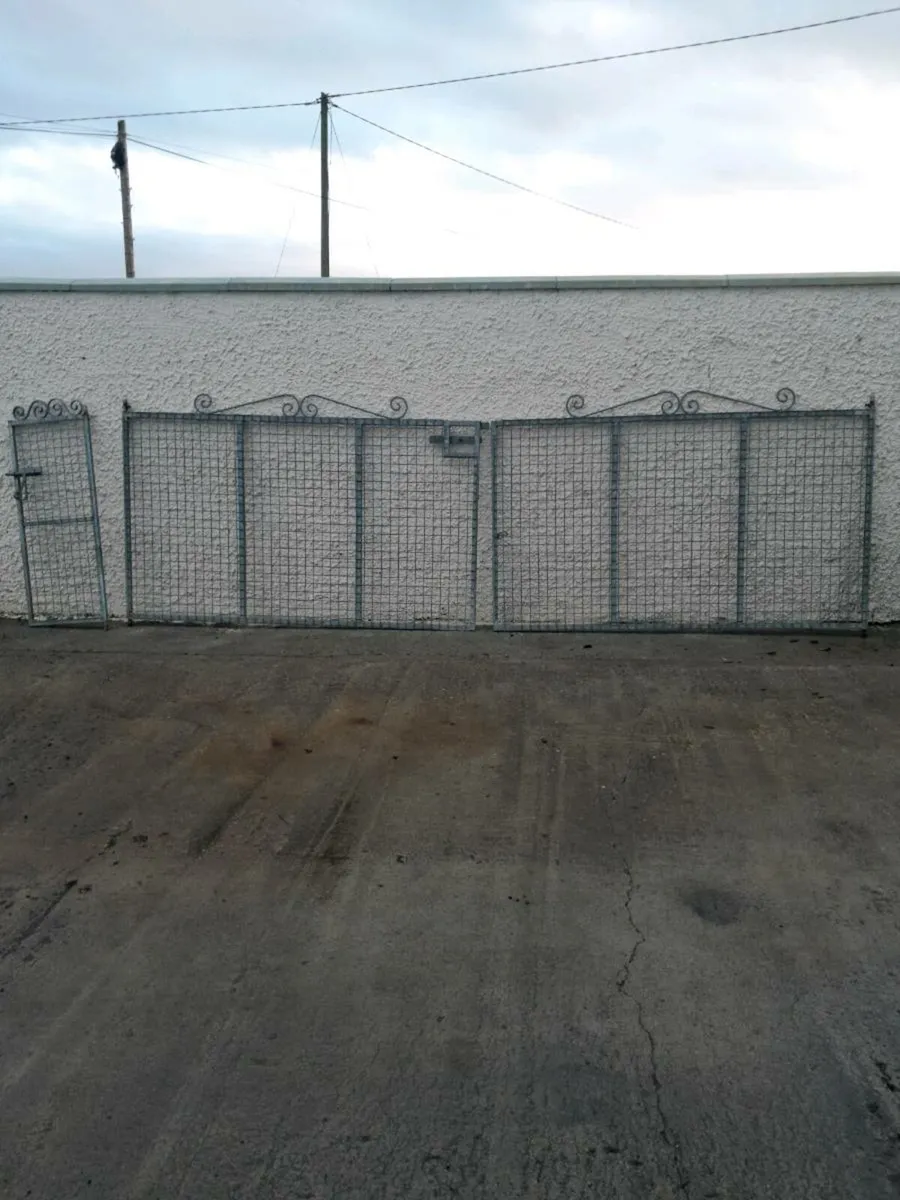 Garden gates 14ft galavanised - Image 1