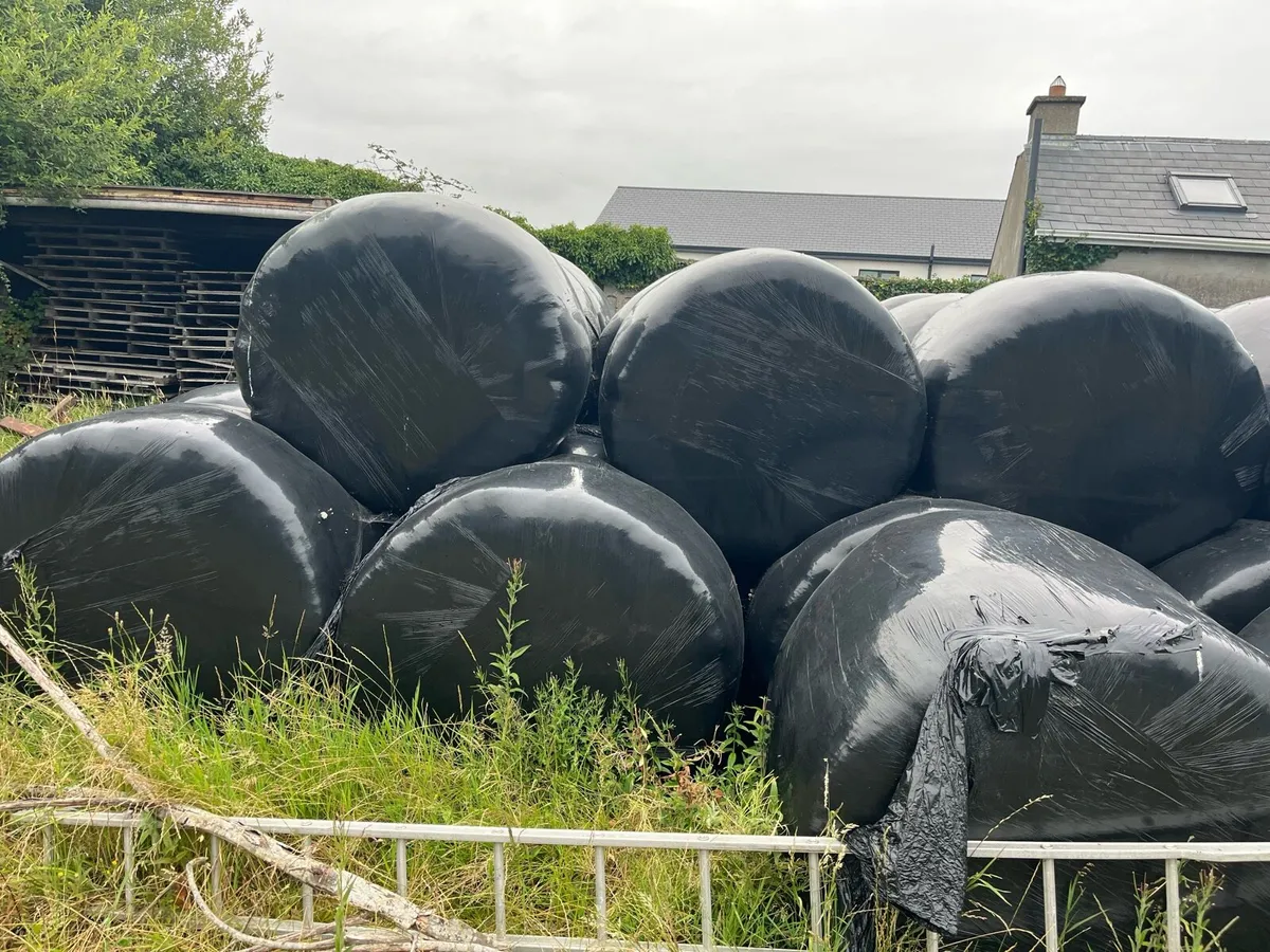 Bales of silage - Image 4