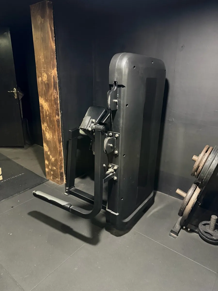 Glute kickback - Image 3