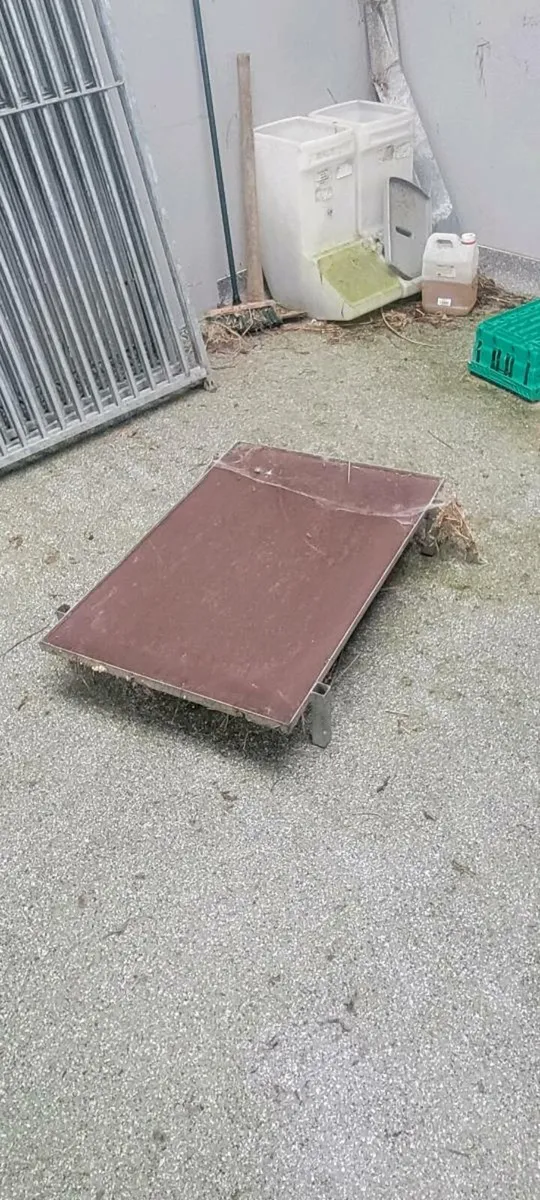 Boarding Kennels - Image 3