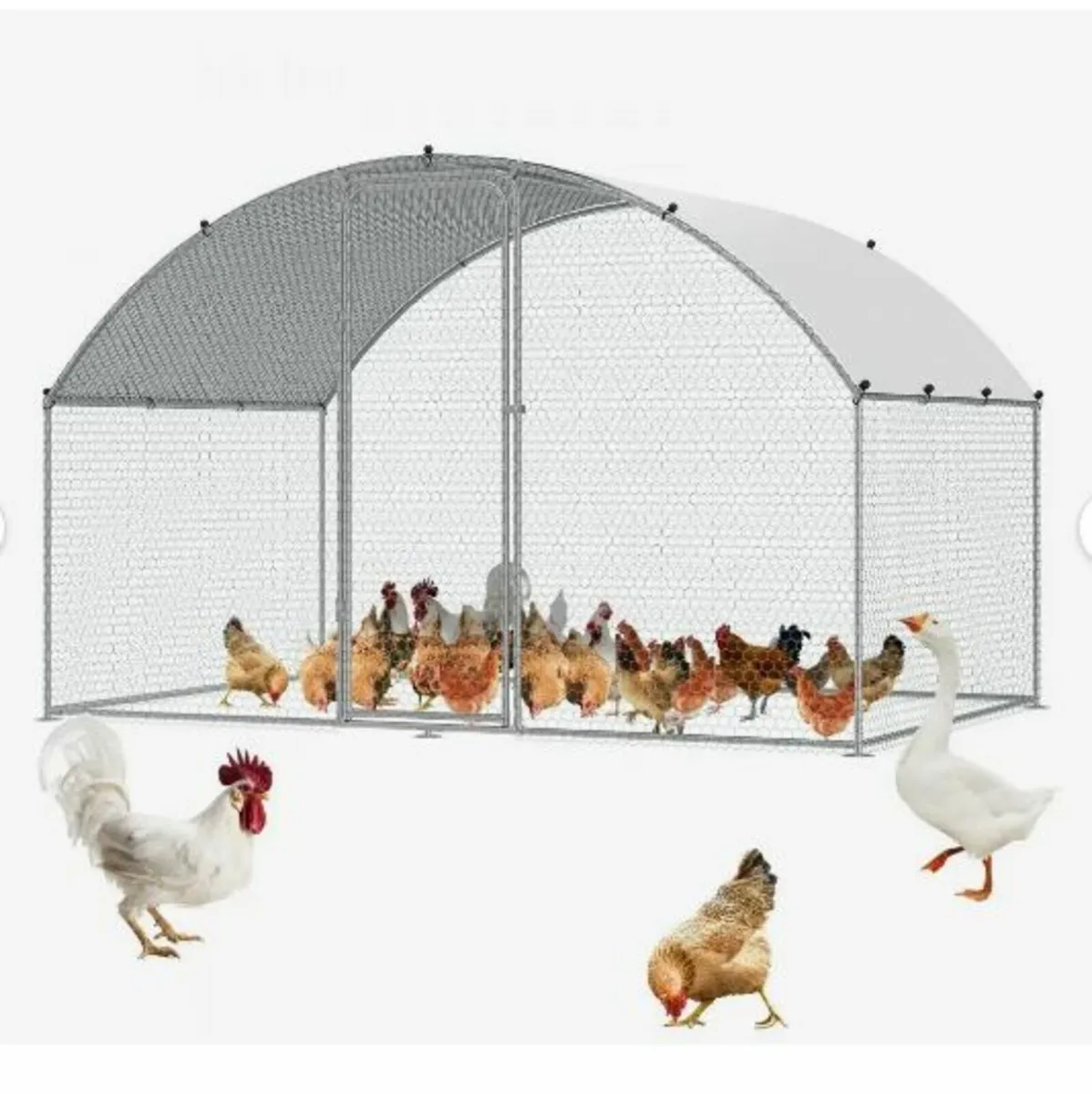 Chicken Coop, 3x1.97x1.99 m - Image 1