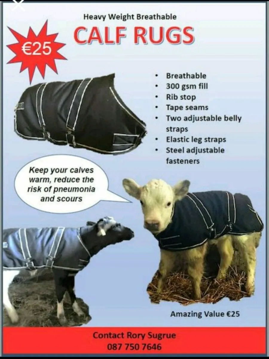 Calf Blankets