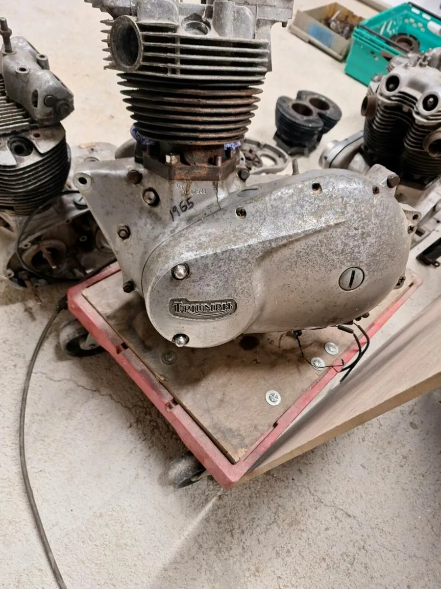 Triumph twin - Image 1